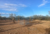 Chalet independiente con terreno en venta en la España, l'Ampolla, ref: TR323407 foto