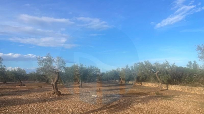 Tarragona - l'Ampolla - 21000m2