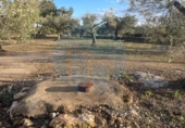 Chalet independiente con terreno en venta en la España, l'Ampolla, ref: TR323407 foto