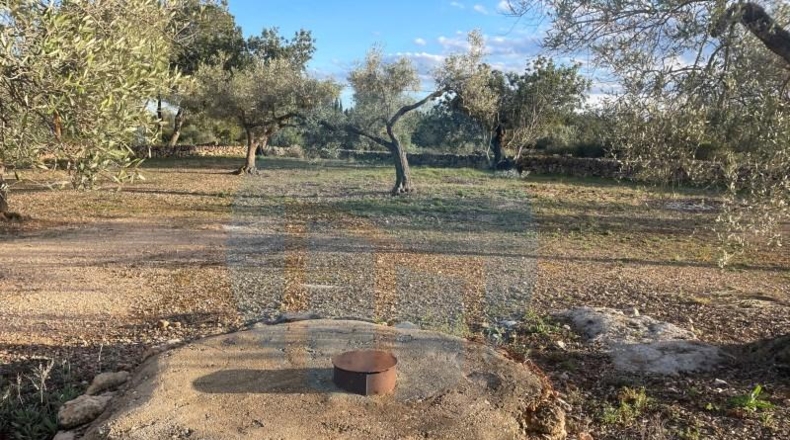 Tarragona - l'Ampolla - 21000m2