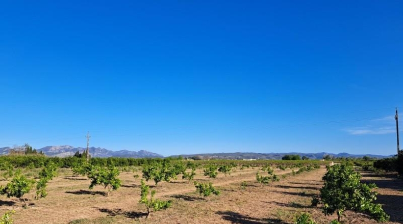 València - Alzira - 24200m2