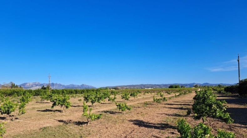 València - Alzira - 24200m2