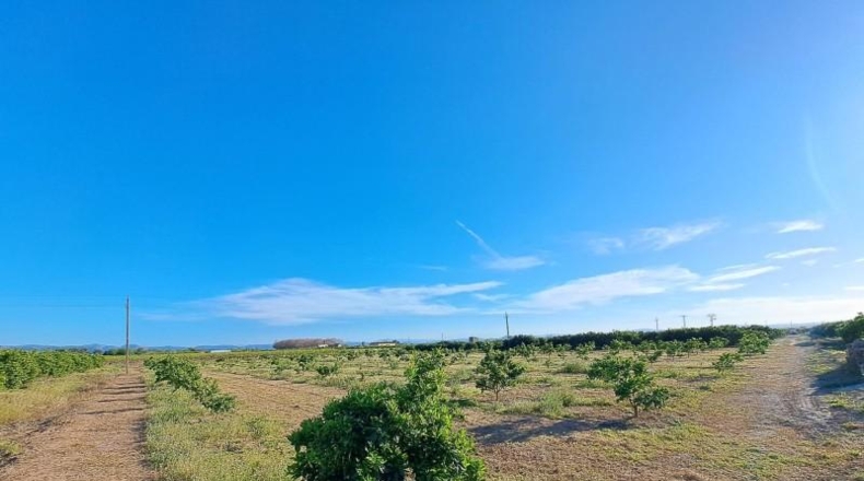 València - Alzira - 24200m2
