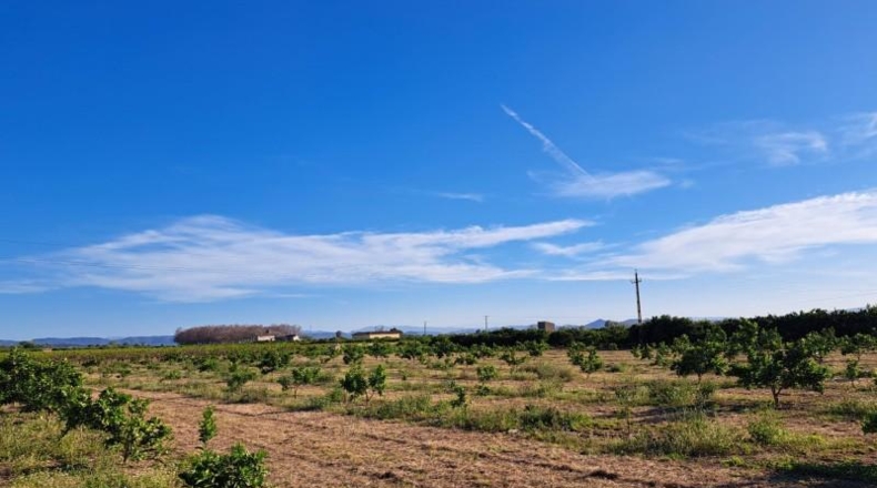 València - Alzira - 24200m2