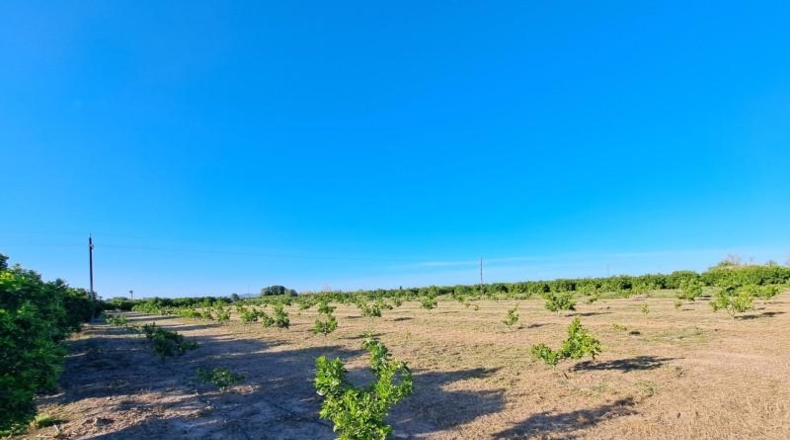 València - Alzira - 24200m2