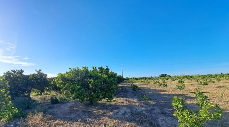 València - Alzira - 24200m2