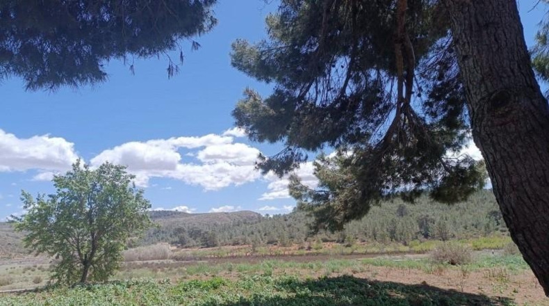 Castellón - Nules - 237400m2