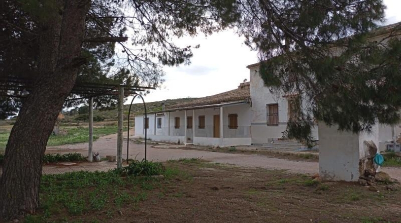 Castellón - Nules - 237400m2