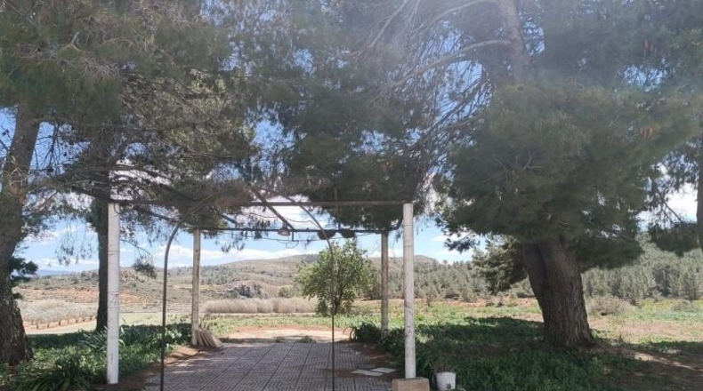 Castellón - Nules - 237400m2
