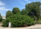 Suelo urbano en venta en la España, Torrent, ref: TR247416 foto