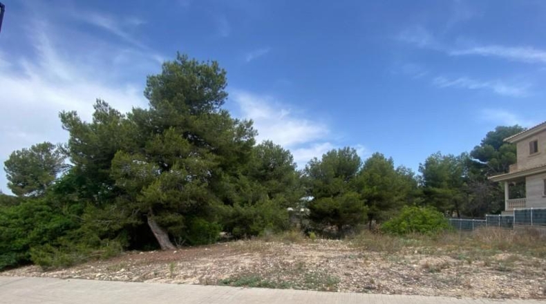 Valencia - Torrente - 400m2