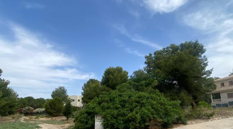 Valencia - Torrente - 400m2