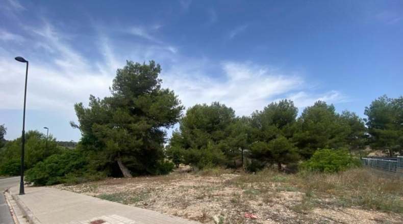 Valencia - Torrente - 400m2