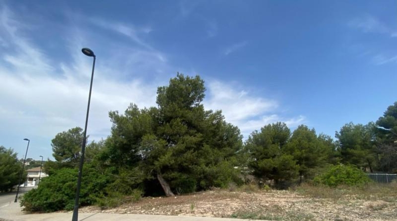 Valencia - Torrente - 400m2