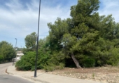Suelo urbano en venta en la España, Torrent, ref: TR247416 foto