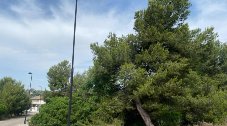 Valencia - Torrente - 400m2