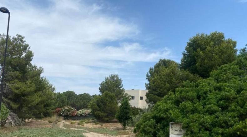 Valencia - Torrente - 400m2