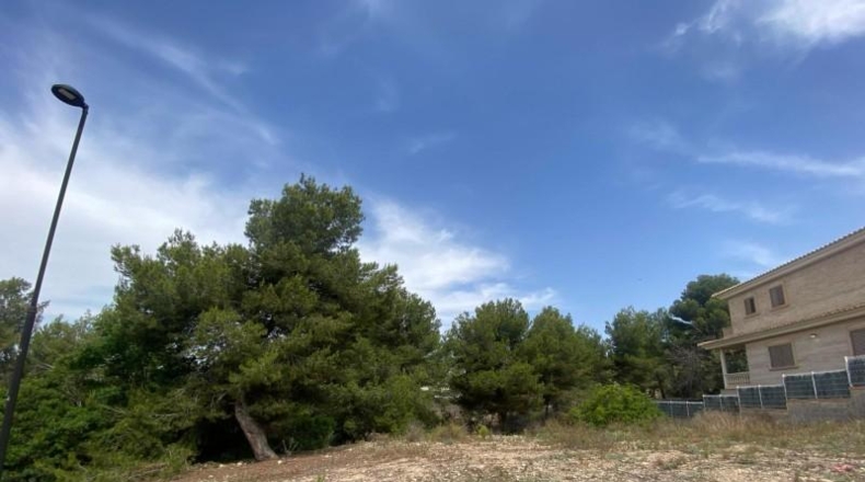 Valencia - Torrente - 400m2