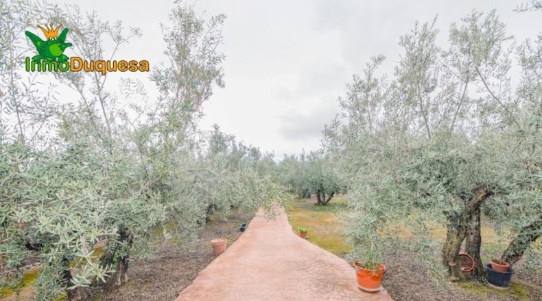Гранада - Ogíjares - 646m2