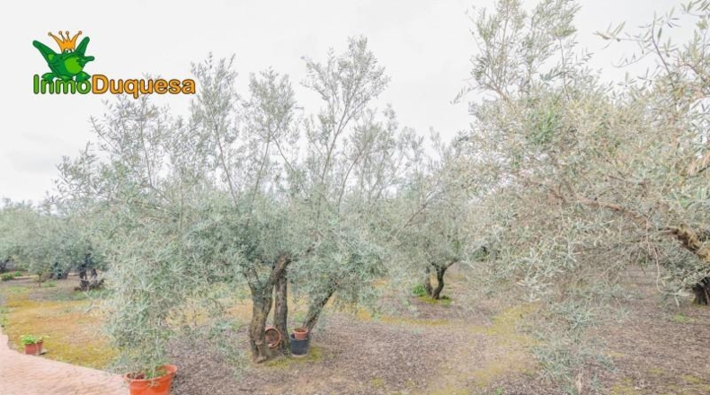 Гранада - Ogíjares - 646m2