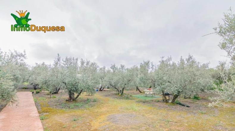 Гранада - Ogíjares - 646m2