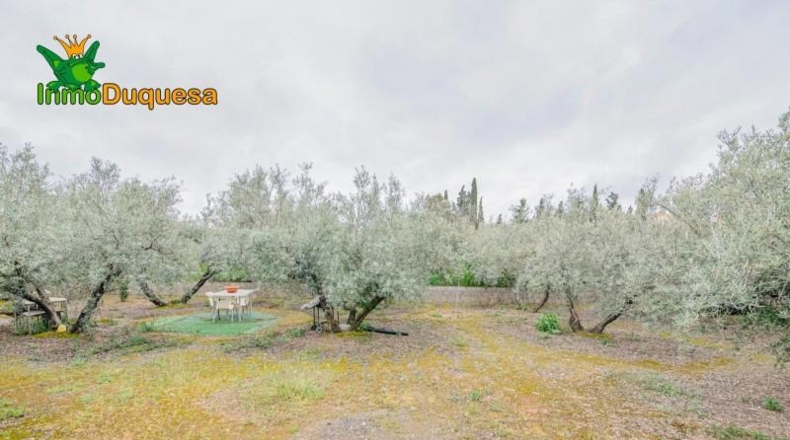 Гранада - Ogíjares - 646m2