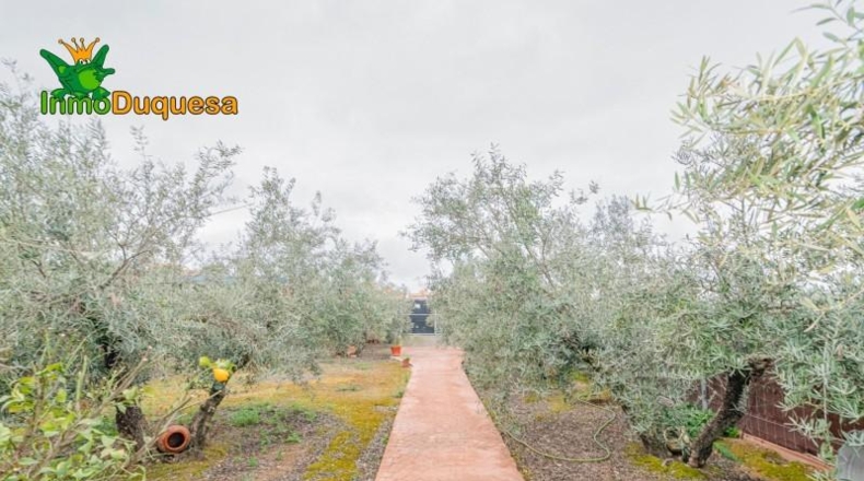Гранада - Ogíjares - 646m2