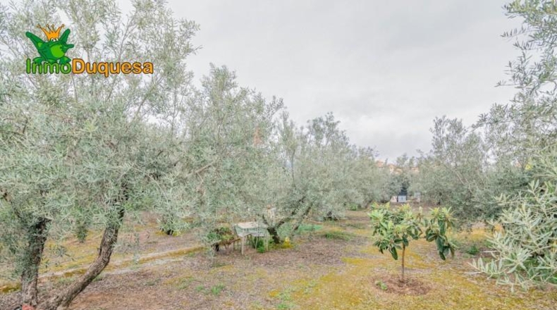 Гранада - Ogíjares - 646m2