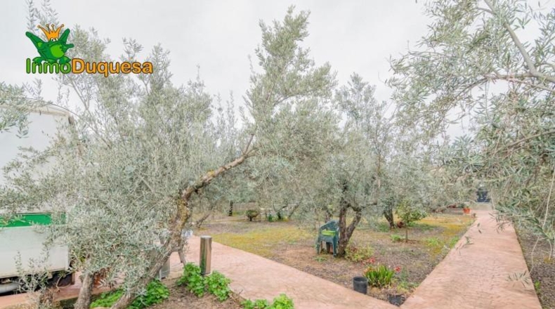 Гранада - Ogíjares - 646m2