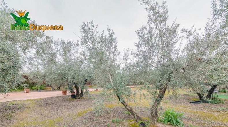 Гранада - Ogíjares - 646m2