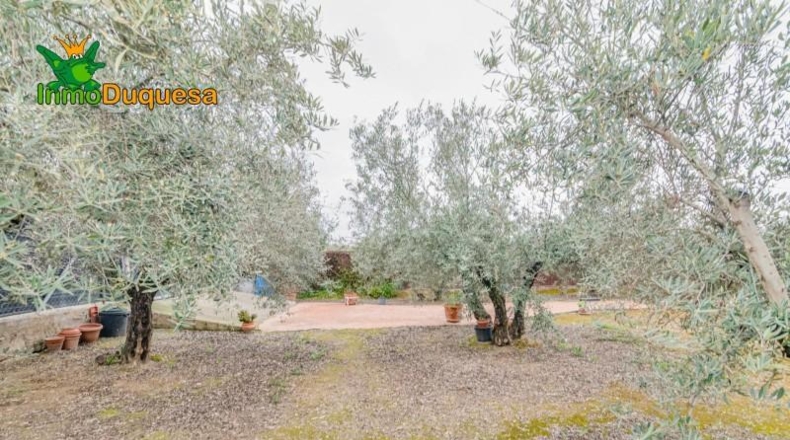 Гранада - Ogíjares - 646m2