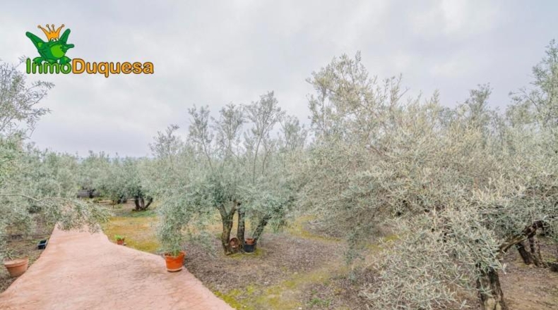 Гранада - Ogíjares - 646m2