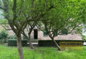 Casa de camp amb terreny en venda a la España, Vilar de Sarria, ref.: TR161630 foto