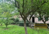 Casa de camp amb terreny en venda a la España, Vilar de Sarria, ref.: TR161630 foto