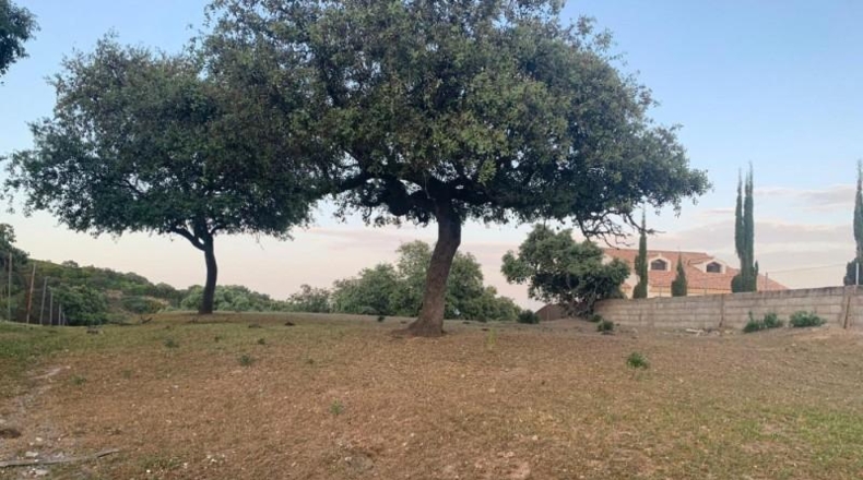 Córdoba - Córdoba - 3143m2