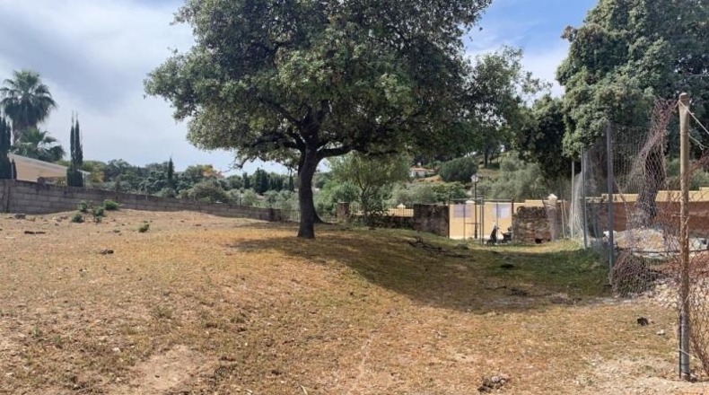 Córdoba - Córdoba - 3143m2