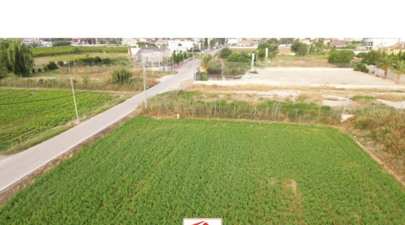 Murcia - Murcia - 1365m2