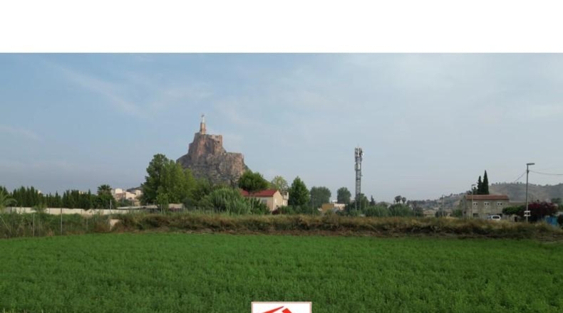 Murcia - Murcia - 1365m2