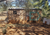 Casa de camp amb terreny en venda a la España, l'Ametlla de Mar, ref.: TR138533 foto