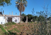 Casa de camp amb terreny en venda a la España, la Vall d'Ebo, ref.: TR292178 foto