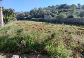 Casa de camp amb terreny en venda a la España, la Vall d'Ebo, ref.: TR292178 foto