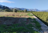 Casa de camp amb terreny en venda a la España, la Vall d'Ebo, ref.: TR292178 foto
