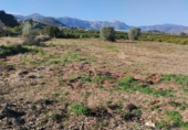 Casa de camp amb terreny en venda a la España, la Vall d'Ebo, ref.: TR292178 foto