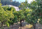 Finca rústica en venda a la España, Pego, ref.: TR395057 foto