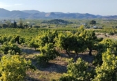 Finca rústica en venda a la España, Pego, ref.: TR395057 foto