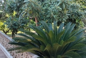Foto 12