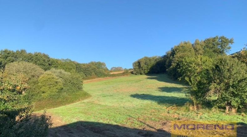 Lugo - Paradela - 20000m2