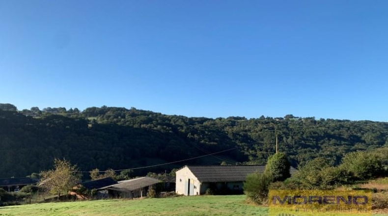 Lugo - Paradela - 20000m2