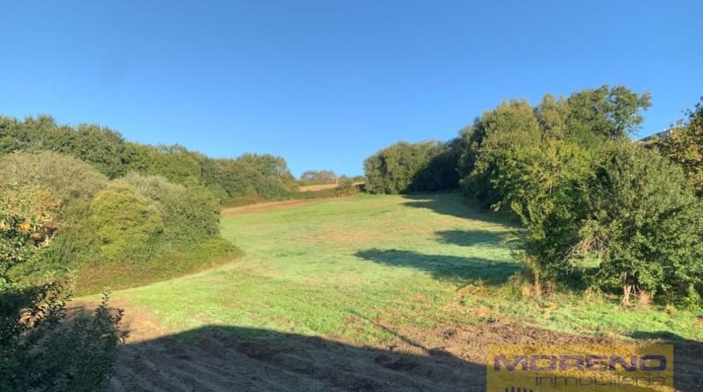 Lugo - Paradela - 20000m2