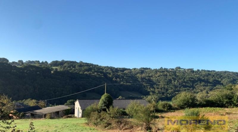 Lugo - Paradela - 20000m2